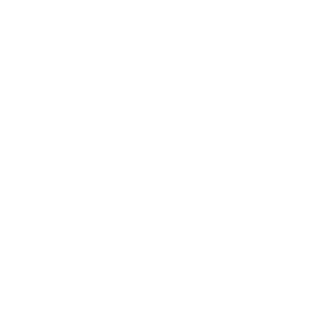 Icône SM blanche